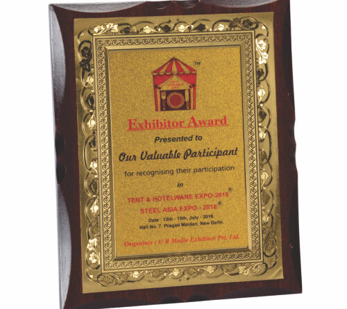 Gold/Silver Foil Plaque for Valuable Participant plaque/trophy
