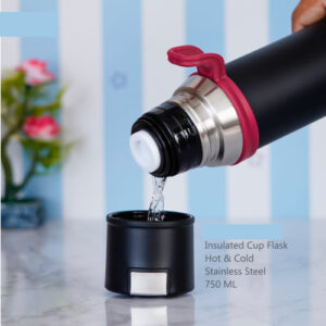 Thermosteel 750 ML Bottle for Hot and Cold Beverages.