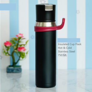 Thermosteel 750 ML Flask for Hot and Cold Beverages.