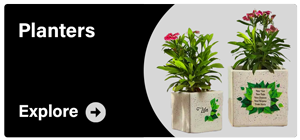 Customized Planters - Personalized greenery for your space.
