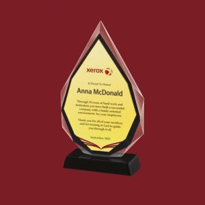 "Premium Top Performer Glass Award - Celebrate excellence and achievement with this elegant glass award from Muskurado.com."