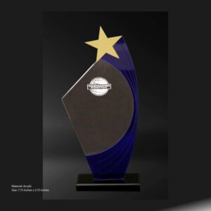 Toastmasters International Star Acrylic Trophy-Small recognizing exceptional achievements.