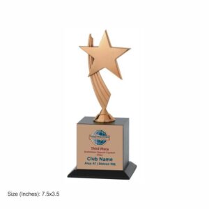 Raised Star Bronze Award recognizing notable achievements and contributions.