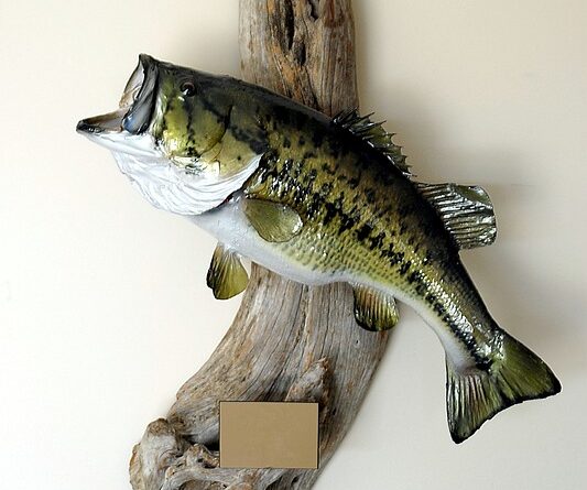 Large Mouth Bass Mount