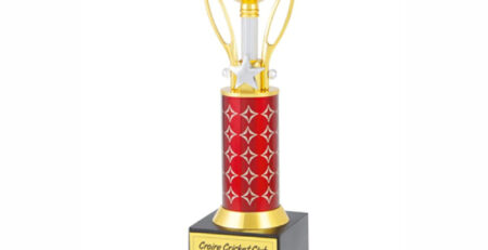 An image of a Cricket Super Star Trophy with a cricket ball on top, available for sale on Muskurado.com.