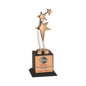 Toastmasters Bronze Trophy